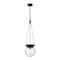Z-Lite Calhoun Pendant, 1-Light, 9 In.W x 10.75 In.H, Matte black/Clear seedy 7506P9-MB - alternate 1